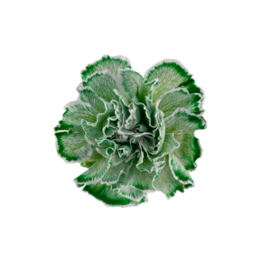 CARNATION, FANCY - TINTED GREEN