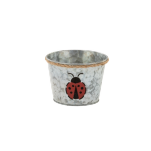 LADY BUG POT 5"