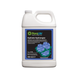 Hydrate Hydrangea 1 Gallon