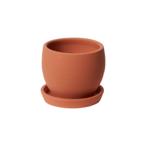 BADEN POT WITH SAUCER 5.5"X5"