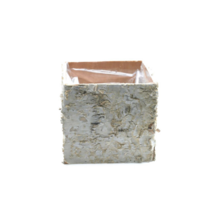 BIRCH SQUARE POTS 4.75" LIGHT