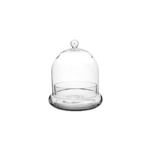 TERRARIUM CLOCHE H:7" OP:8.25"
