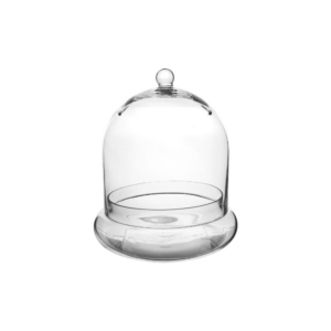 TERRARIUM CLOCHE H:11" OP: 10"