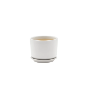 SMALL MATTE WHITE POT W/SAUCER