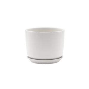 LARGE MATTE WHITE POT W/SAUCER 5" X 6"