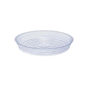 SAUCER 10" CLEAR