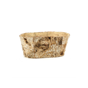 OVAL BIRCH PLANTER
