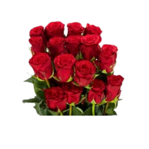 ROSE, 60CM RED, REDIANT